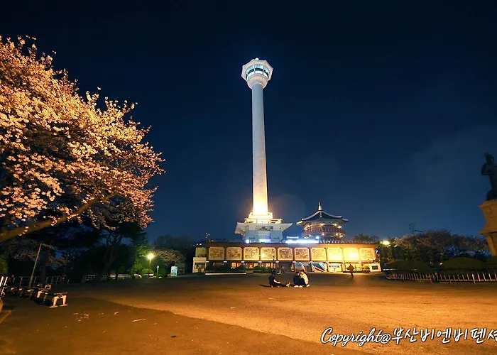 Family 부산광역시